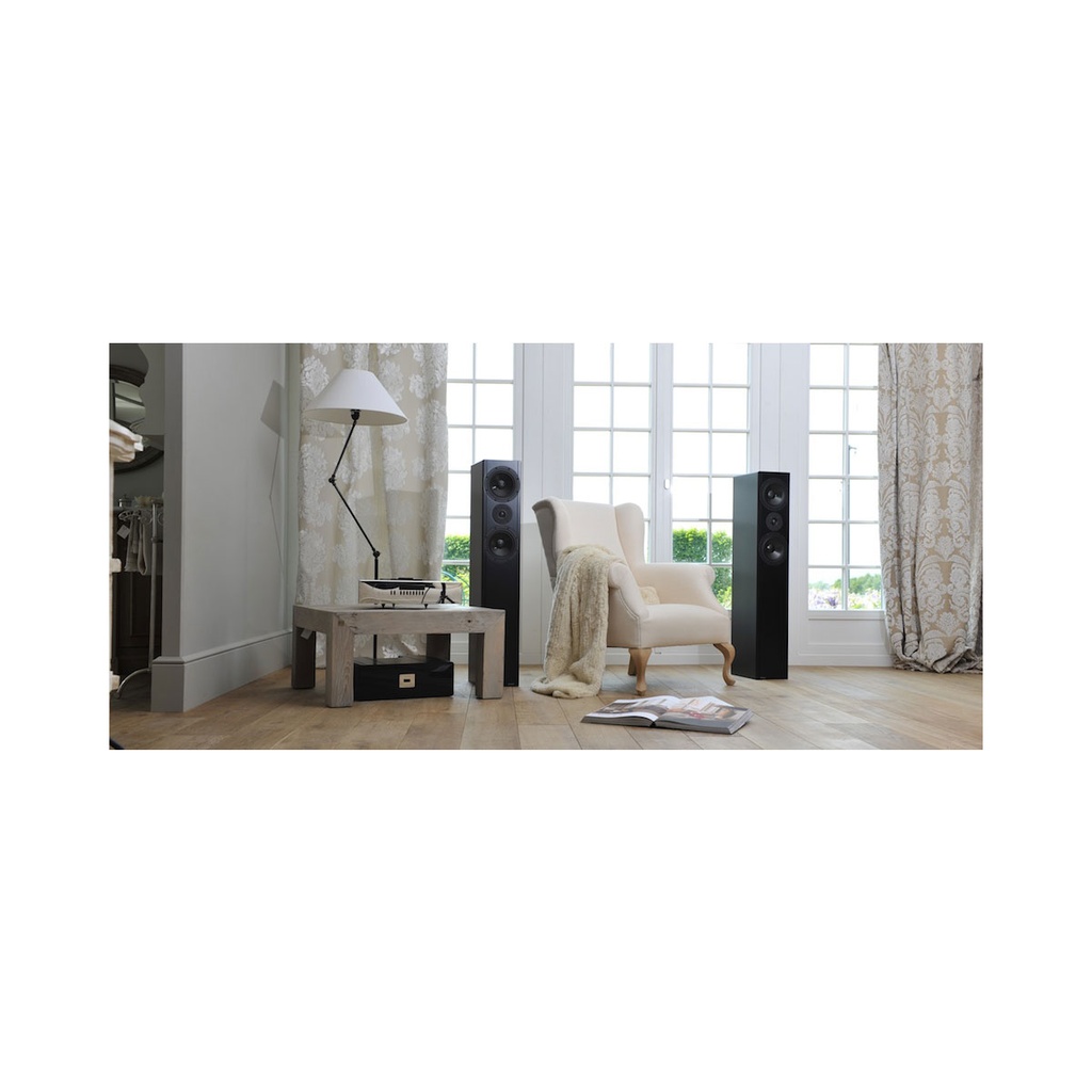 Avantgarde A1 1000 Highend & Subschassis 4