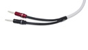 Chord C-screenX Speaker Cable ban-ban Pair 4