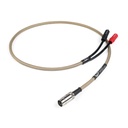 Chord EpicX 4DIN to 1XLR (NAP250) 2