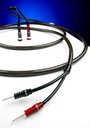Chord EpicXL Speaker Cable sp-ban Pair 1