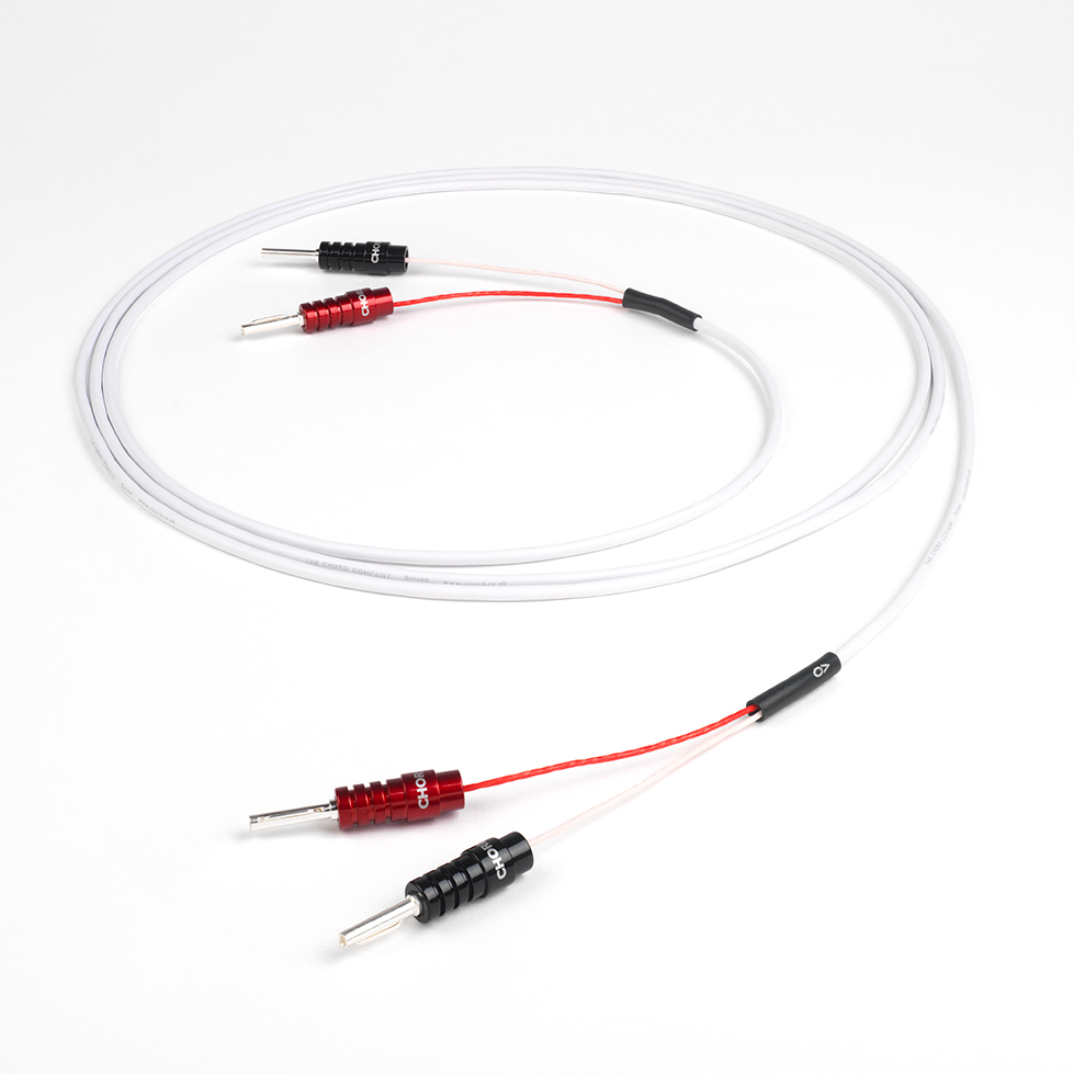 Chord Sarsen 100 1