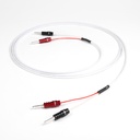 Chord Sarsen 100 1