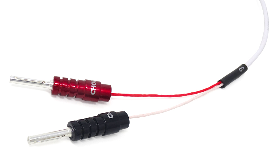 Chord Sarsen 100 2
