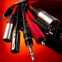 Chord ShawlineX 2RCA to 3.5mm minijack 1