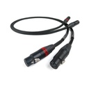 Chord SignatureX Tuned ARAY 2RCA to 2XLR 2