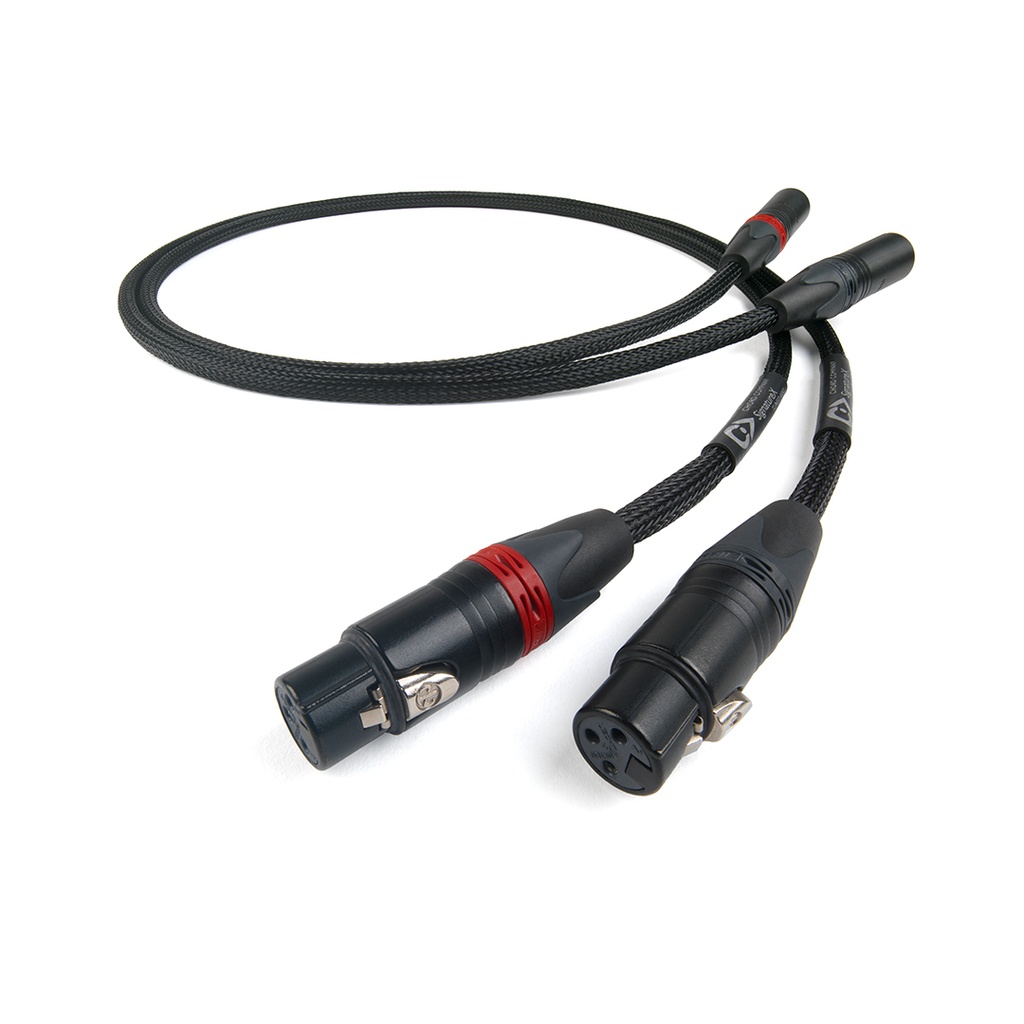 Chord SignatureX Tuned ARAY 4DIN to 2XLR 2