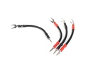 Chord Signature Links ChordOhmic Spade to Spade x 4 1