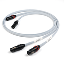 Chord Sarum T Super ARAY 2XLR to 2XLR 1