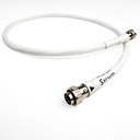 Chord Sarum T Super ARAY 2RCA to 5DIN 1