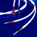 Chord Sarum T Speaker Cable sp-sp Pair 1