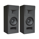 Strauss Elektroakustik SE-MF-2.1 Mittelfeld-Monitor