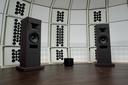 Strauss Elektroakustik SE-MF-2.1 Mittelfeld-Monitor