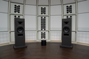 Strauss Elektroakustik SE-MF-2.1 Mittelfeld-Monitor