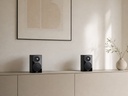 Revox Mini G50