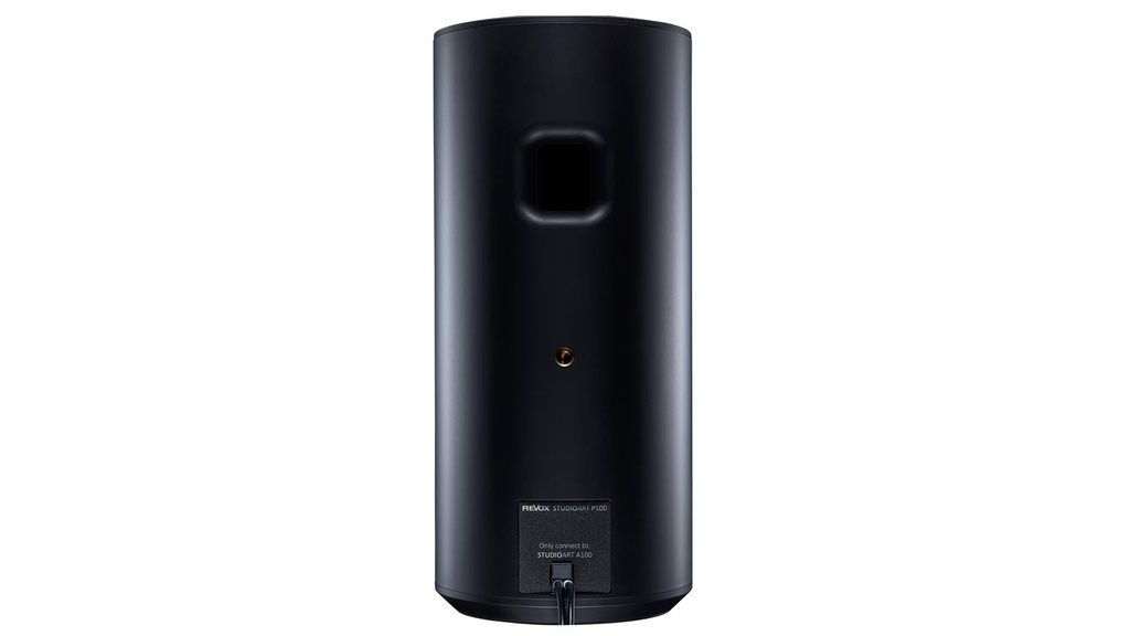 Revox STUDIOART P100 Room Speaker