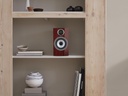 Bowers & Wilkins 707 S3 PRESTIGE 7