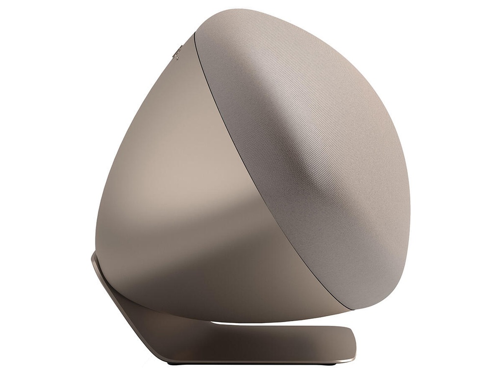 Bowers & Wilkins ZEPPELIN Pro Edition 4