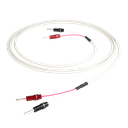 Chord RumourX Speaker Cable (Meterware)