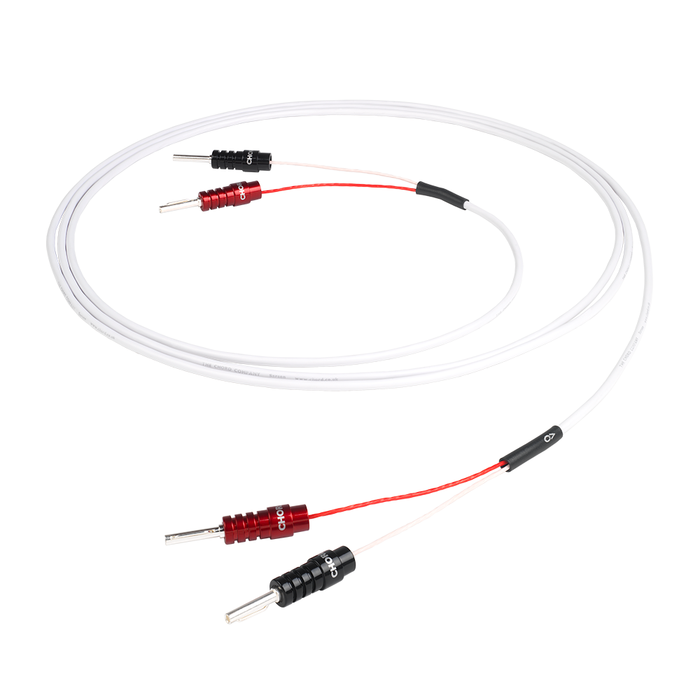 Chord Sarsen 100
