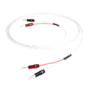Chord Sarsen 100