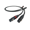 Chord SignatureX Tuned ARAY 2RCA to 2XLR