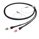 Chord SignatureX Tuned ARAY Arm Lead Reference