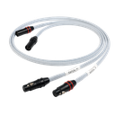 Chord Sarum T Super ARAY 4DIN to 2XLR