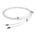 Chord Sarum T Speaker Cable ban-ban Pair