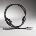 Shunyata Research ALPHA-X AES/EBU-Digitalkabel (1.0 m)