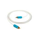 Chord C-USB A-B