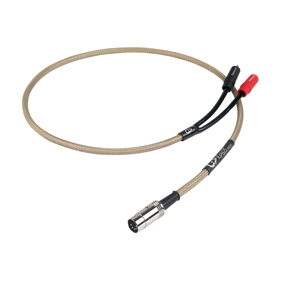 Chord EpicX 2RCA to 5DIN